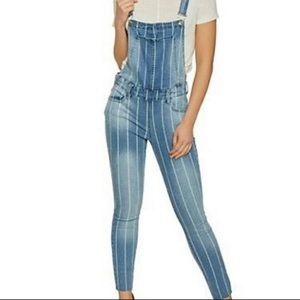 Almost Famous Stripe Denim Overalls